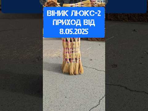 Віник сорго вищий сорт «Люкс-2» 75-80 см, відео 1
