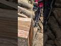 Toda esta madera desperdicio por aserrarla con motosierra 😬😱 #chainsaw #sthil #madera #asmr