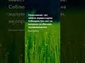 Порядок в душе ... Бернард Шоу  - Цитаты про жизнь на каждый день #цитаты #жизнь #мудрость #shorts