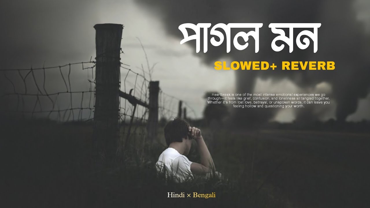 Pagol Mon song lofi ❤️‍🩹 || Bengali sad song 💔 || Hindi × Bengali || Mithun Saha