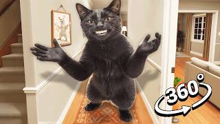 Clapping Cat Breaks Into Your House 360°/VR 4K Guide