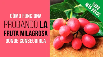 ¿Cuál es la fruta milagrosa que cura la diabetes?