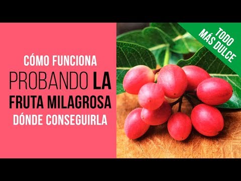 Video: Usos de las bayas Aronia: cómo y cuándo recoger las cerezas Aronia