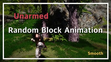 SKYRIM Unarmed Block Animation / 스카이림 맨손 방어 모션