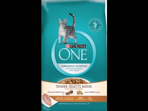 FREE PURINA ONE 😺CAT😺FOOD‼‼