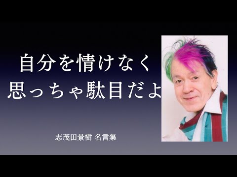 どんな時でも自分を貫く。志茂田景樹の名言