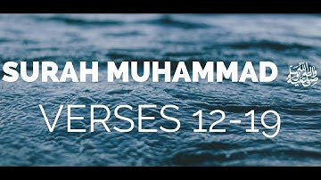 Quran Tafsir (Exegesis) - Surah Muhammad ﷺ‬  سورة محمد (Verses 12 - 19) - Shaykh Mamdouh Mahmoud