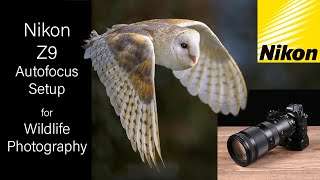 Nikon Z9 Autofocus Setup for Wildlife