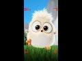 Ultimate Angry Birds Vibes! 🤩❤️🔥