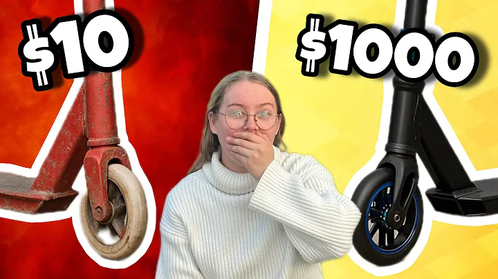 $10 vs $1000 scooter!