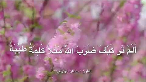تلاوة رائعة من سورة إبراهيم ، للقارئ : سلطان المرزوقي