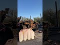 May 5, 2022. A destroyed Russian tank in the Kyiv region.