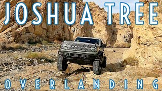 Overlanding in Joshua Tree  How to Avoid the Crowds