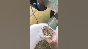 Cocoa Bean Sheller Machine Coffee Bean peeling Machine