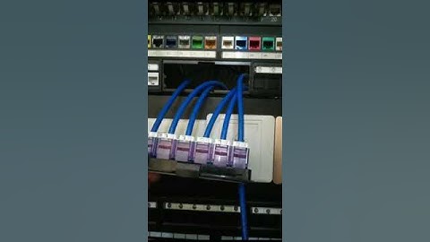 Network RJ45 patch panel blank removable 1U 24 ports UTP video