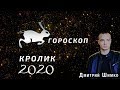 Гороскоп Кот/Кролик -2020. Астротиполог, Нумеролог - Дмитрий Шимко