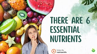 How the 6 Essential Nutrients Affect Your Body (And Why You Need All of Them) #SixEssentialNutrients Profile