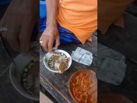 Video: Adakah babi tanah makan ular?