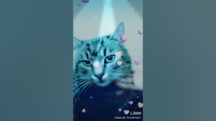 Котката яде котешка храна!!!..😺😸❤️♥️🧡💛💚💙💜💖💗💖💋👄💕💓💞💟💐🌹🥀🌷🌺🌸🌼💮🌱🌿🌹💐🌄🏜️🏖️⛱️🌇🌅☀️🌤️⛅🌟⭐⚡🌈🌉🌆🌃🌍🐈🐈🦄🐴🥪🍟🍧🍨🍩🍦🍪🍭🎂🍮🍰🍿
