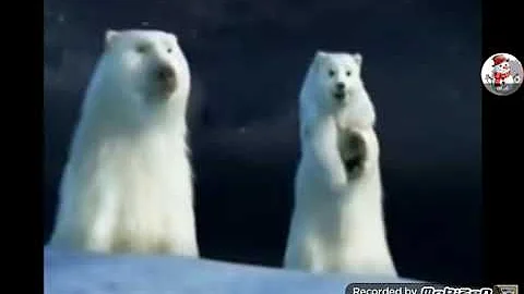25 days of Christmas commercial [2] coca-cola polar bears Christmas party [2005]