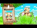 I Become WANTED in Minecraft