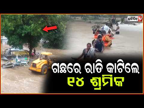 ରାତି ସାରା ଗଛ ଉପରେ କାଟିଲେ ୧୪ ଶ୍ରମିକ ,ହଠାତ୍ ମାଡ଼ି ଆସିଲା ବନ୍ୟା ପାଣି ! 14 workers rescued ,Nuapada