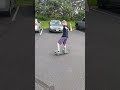 clean ollie 🥶