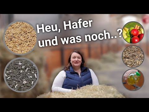 Video: Kann ein Pferd mit einem Koppelhalsband fressen?