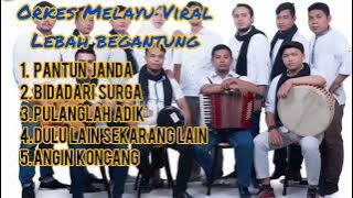 SPESIAL KOMPILASI LEBAH BEGANTONG ORKES MELAYU VIRAL DI MEDAN - PANTUN JANDA