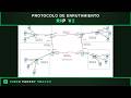 ENRUTAMIENTO CON PROTOCOLO RIP V2 (4 ROUTERS) - CISCO PACKET TRACER