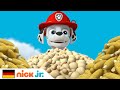 Paw Patrol | Die Popcorn-Rettung! | Nick Jr.