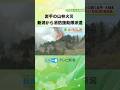 岩手の山林火災　新潟から緊急消防援助隊を派遣