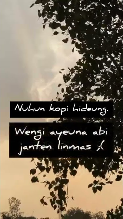 status wa ade astrid dua lalaki