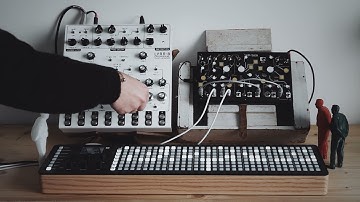 Make Noise Strega, SoMa Lyra 8 and Polyend SEQ