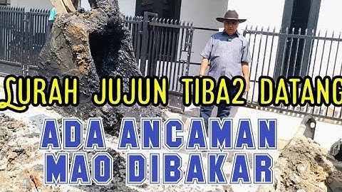TIBA2 LURAH JUJUN DATANG & NGAMUK❗ADA ANCAMAN BEKO MAO DIBAKAR❗#kdm 