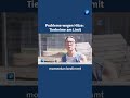 Tierheime am Limit #tierheime #katzen #nachrichten #tagesschau #news