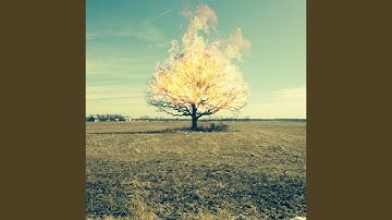 Hands Across the Divide