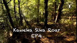 Kaweka Sika Roar | EP 4
