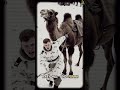 (103) The Camel Cavalry on the Eastern Front,Germans captured Soviet Bactrian camels, #TrueWarStory
