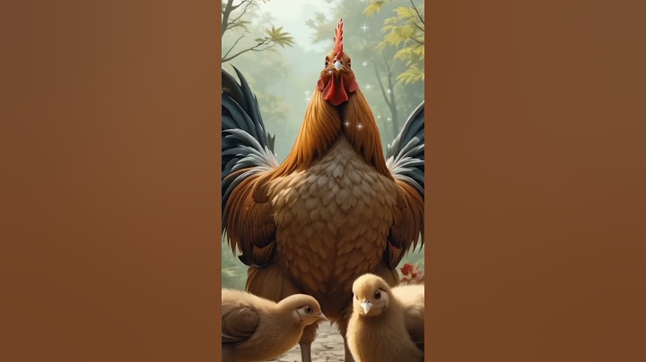 A hen and his kids story|Nice story 👏|Flor Fine story 👣👣