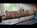 Woodturning - Old Willow Log Becomes Elegant Gift