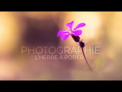 Vidéo: Comment Photographier Des Fleurs