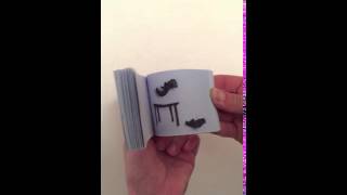 IMG 5991