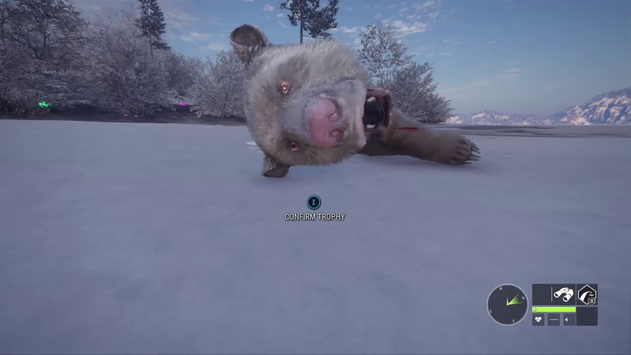 Thehunter: Call of the Wild Albino Brown Bear non story mission - YouTube