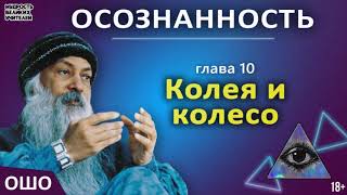 10. Колея и колесо.  ОШО. ОСОЗНАННОСТЬ