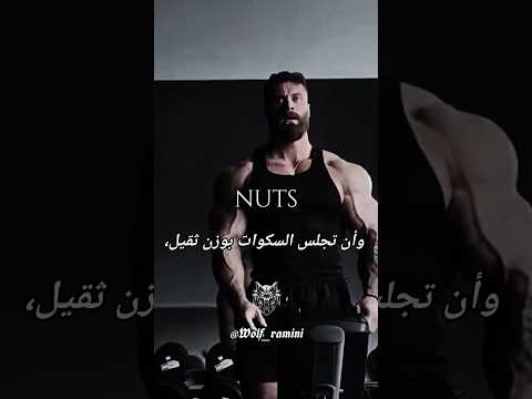 سام سولاك لا يوجد ألم لا يوجد مكسب