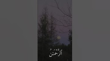 #سوره الرحمن #قارئ جابر القيطان # القرآن الكريم 🤍
