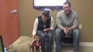 Four-legged hero honored at local animal shelter