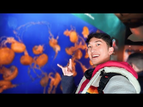 making-weird-noises-at-the-aquarium!-(fish-very-annoyed)
