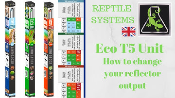 Reptile Systems Eco T5 unit Full Version